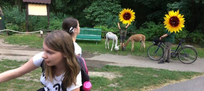 Ausflug in den Zoo von Poznań Ausflug in den Zoo von Poznań